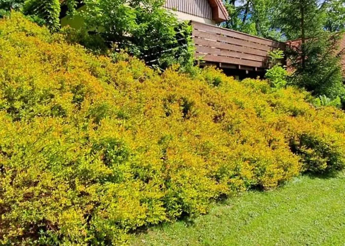 Space Casa vacanze Szklarska Poręba